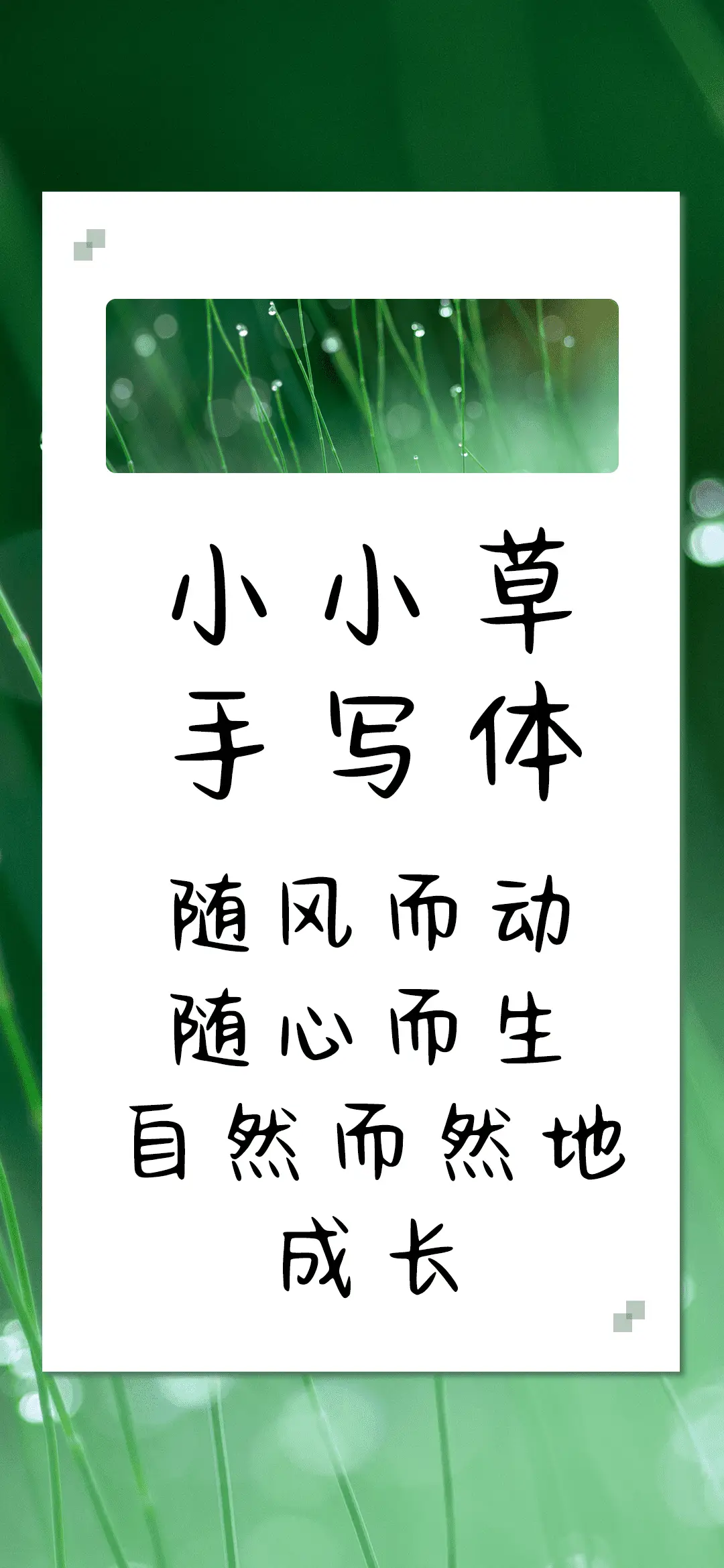 小小草手写体 - Screenshot 1