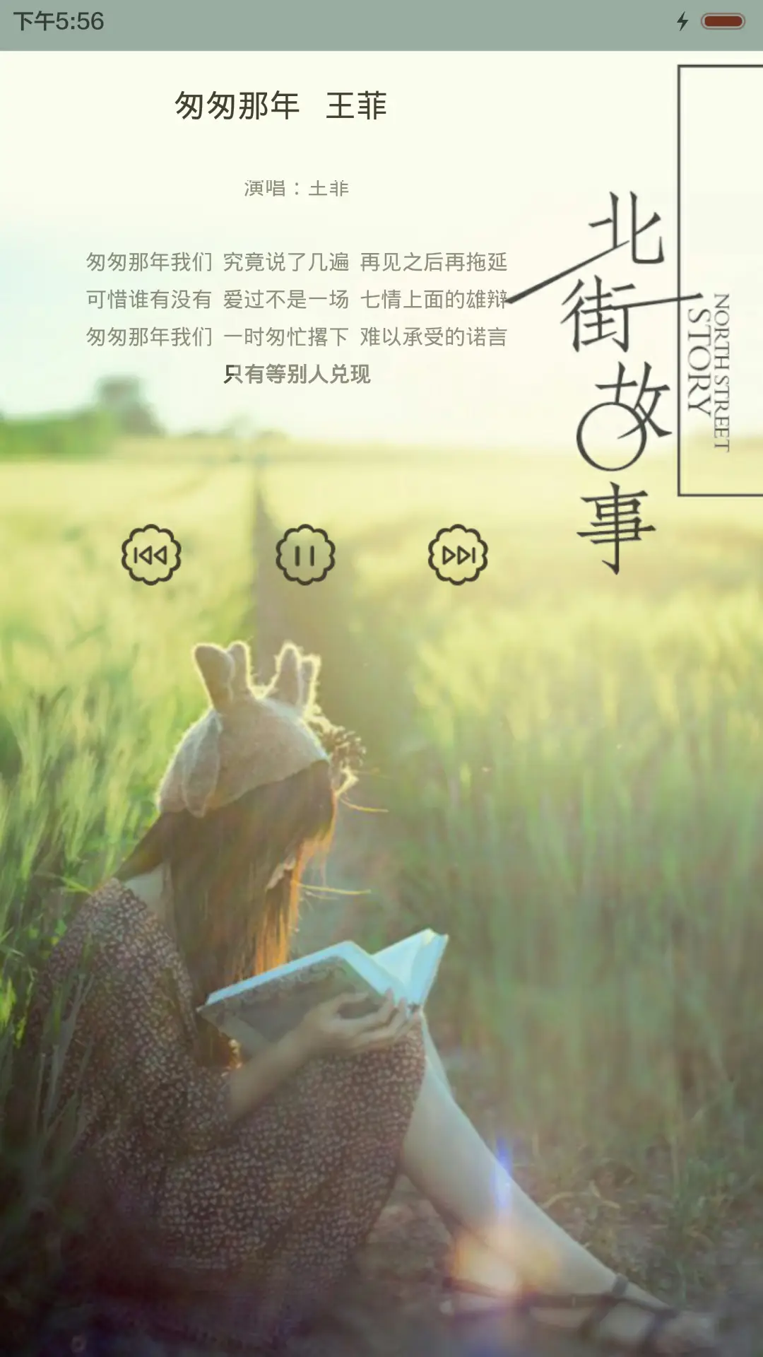 一年好景君须记（音乐界面，自由桌面，锁屏密码） - Screenshot 3