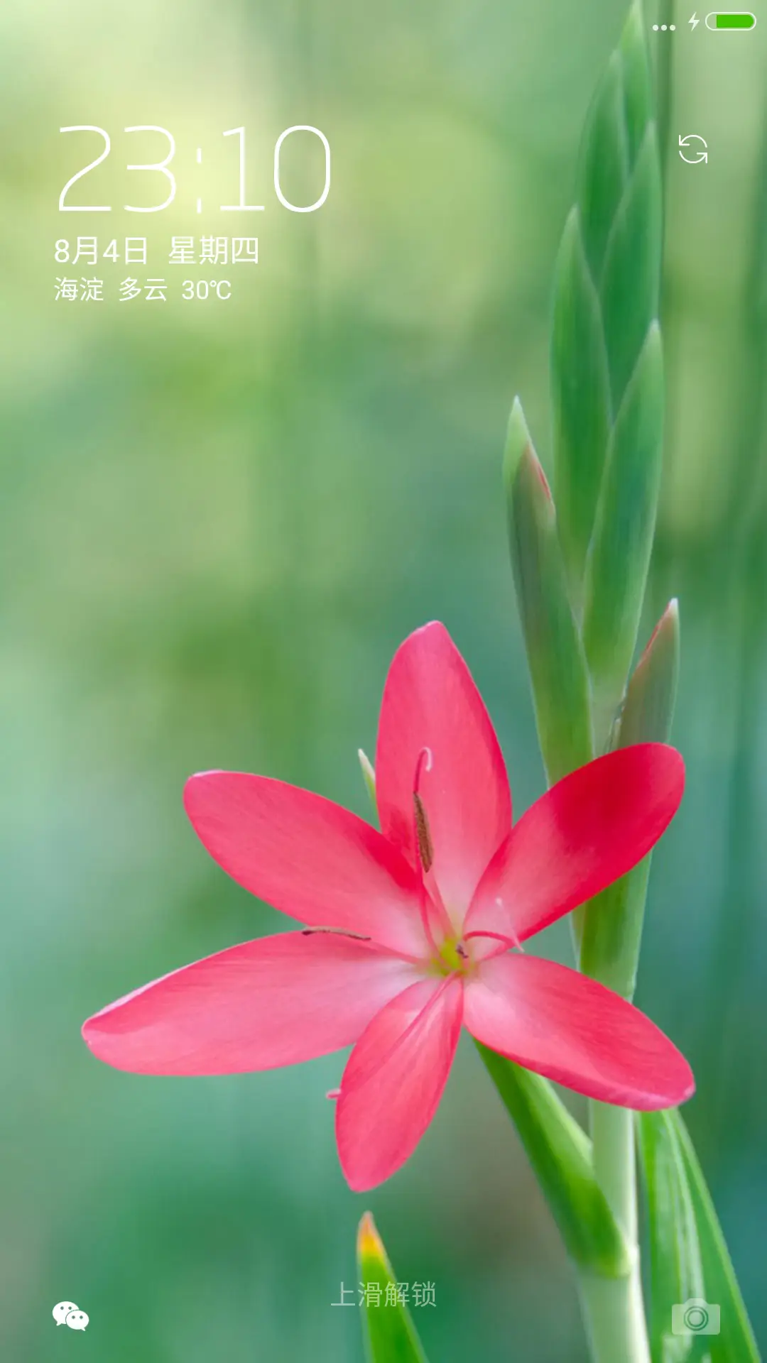 【好评送收费主题兑换码】粉色小花