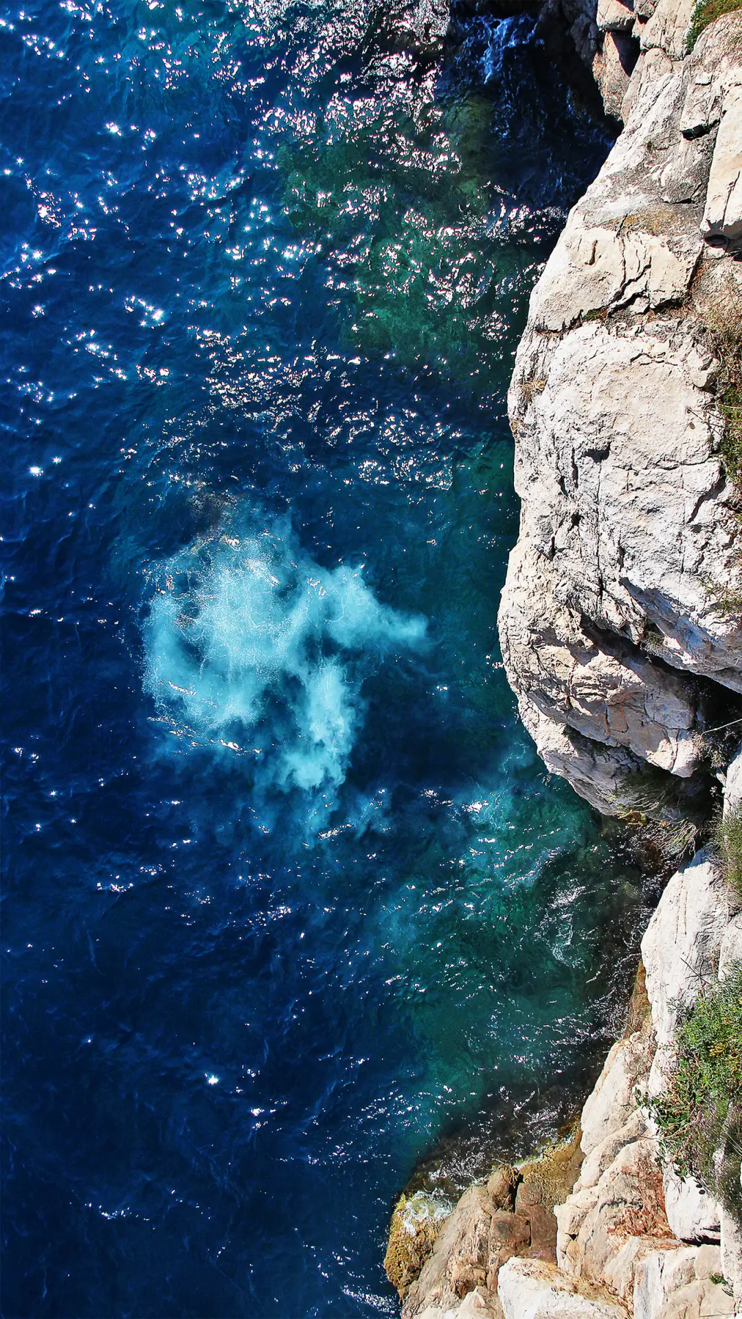 治愈海底-拍信图库