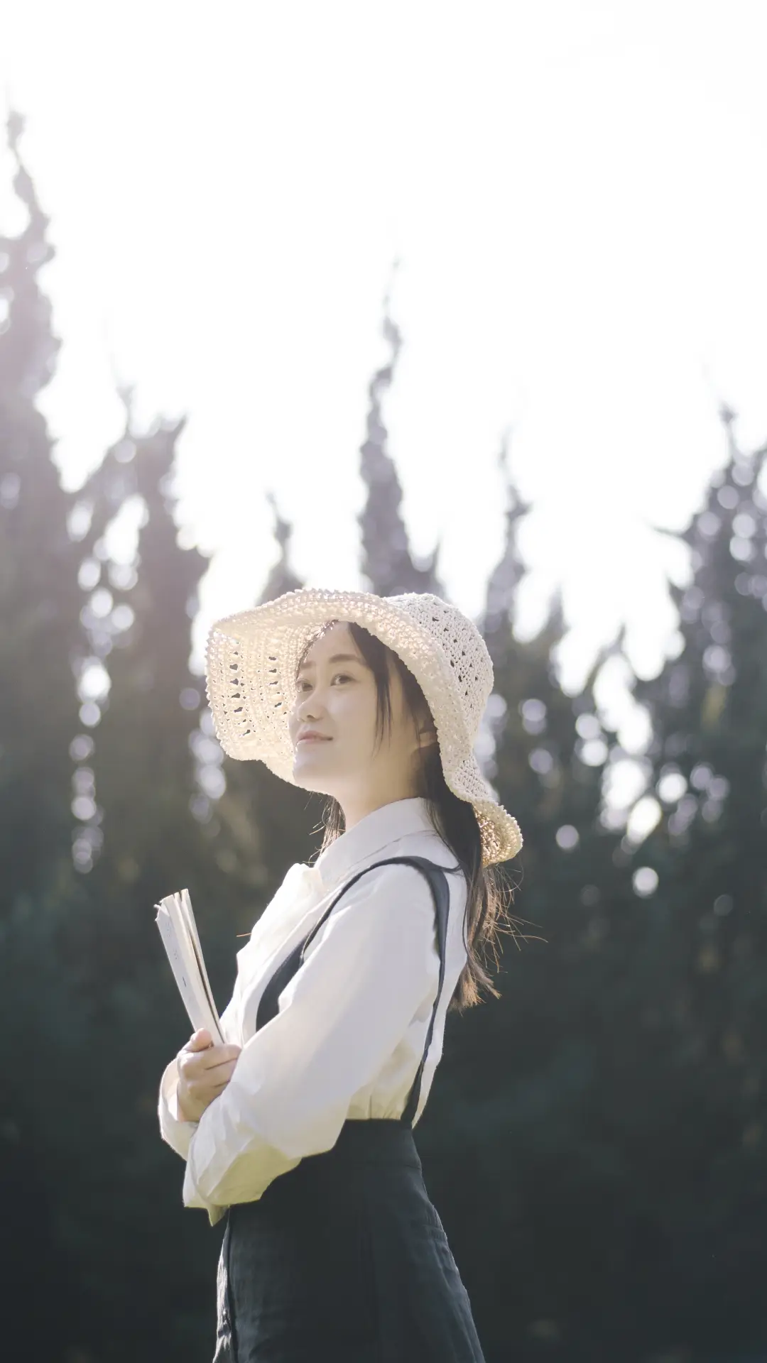 午后阳光-锐景创意