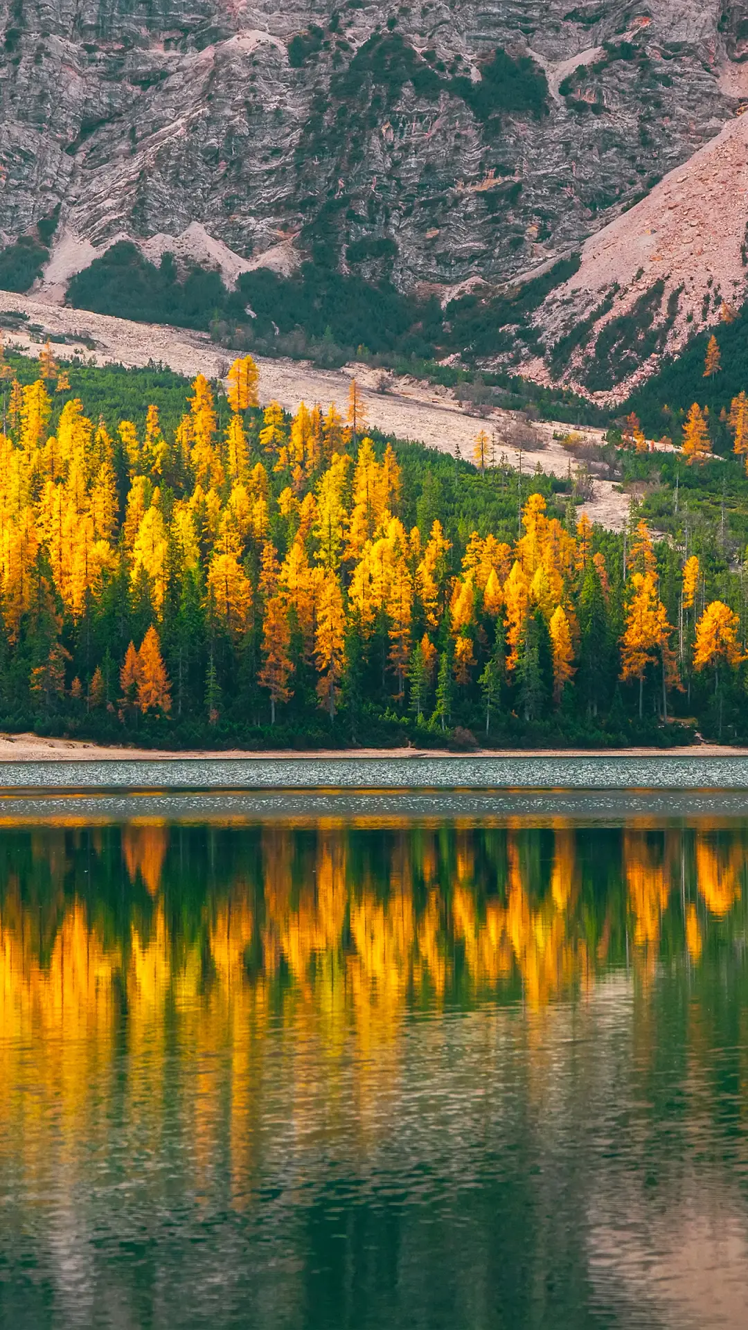 秋天的湖-拍信图库