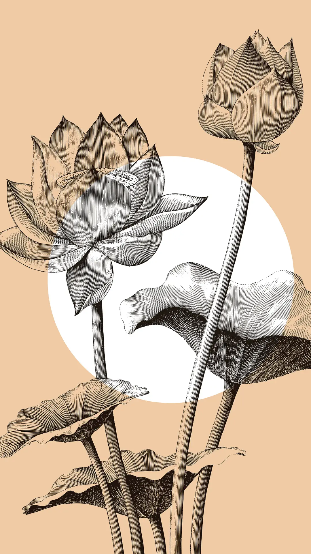 治愈壁纸-拍信图库 - Screenshot 1