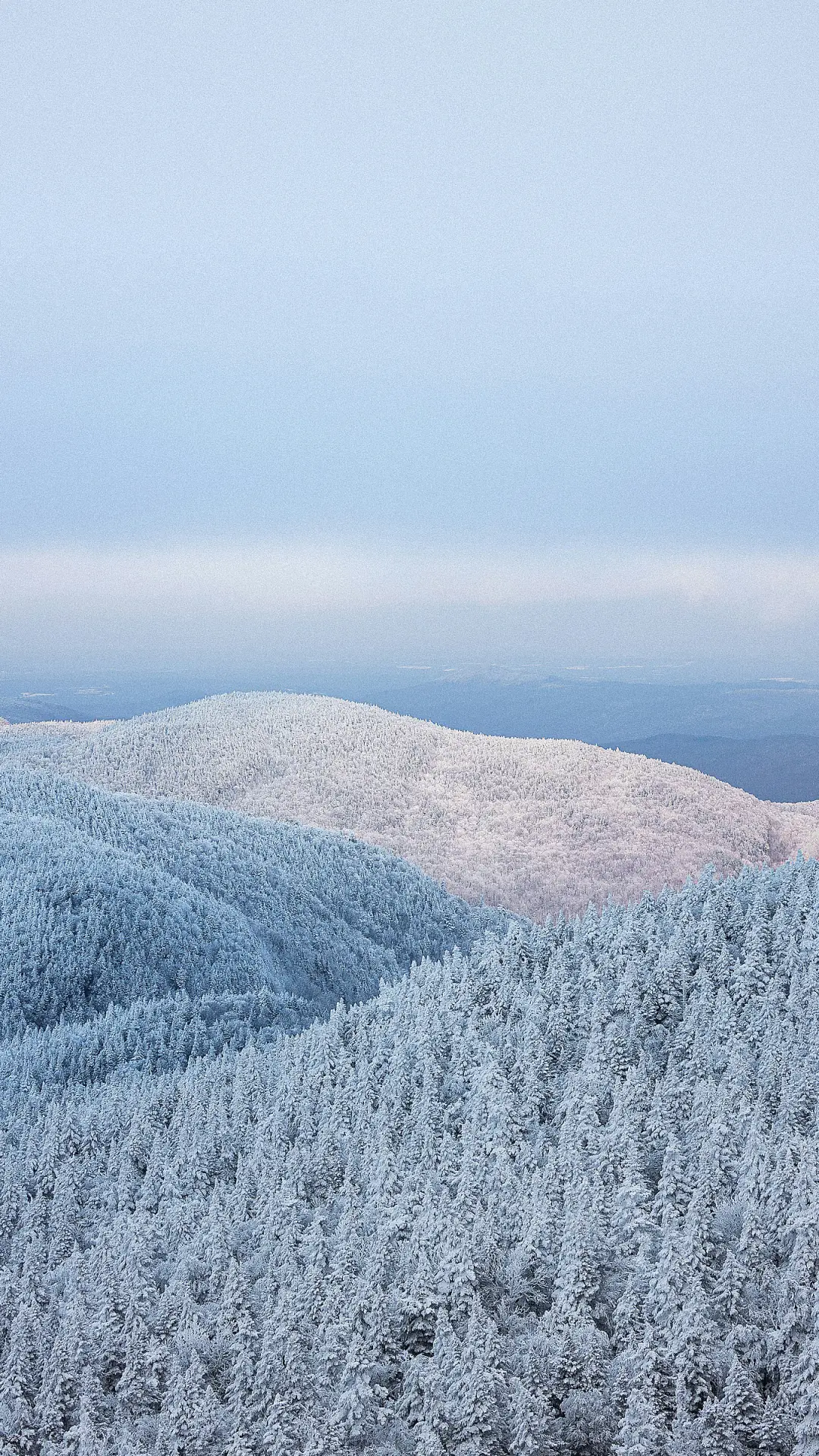 简约风景-顶晟科技