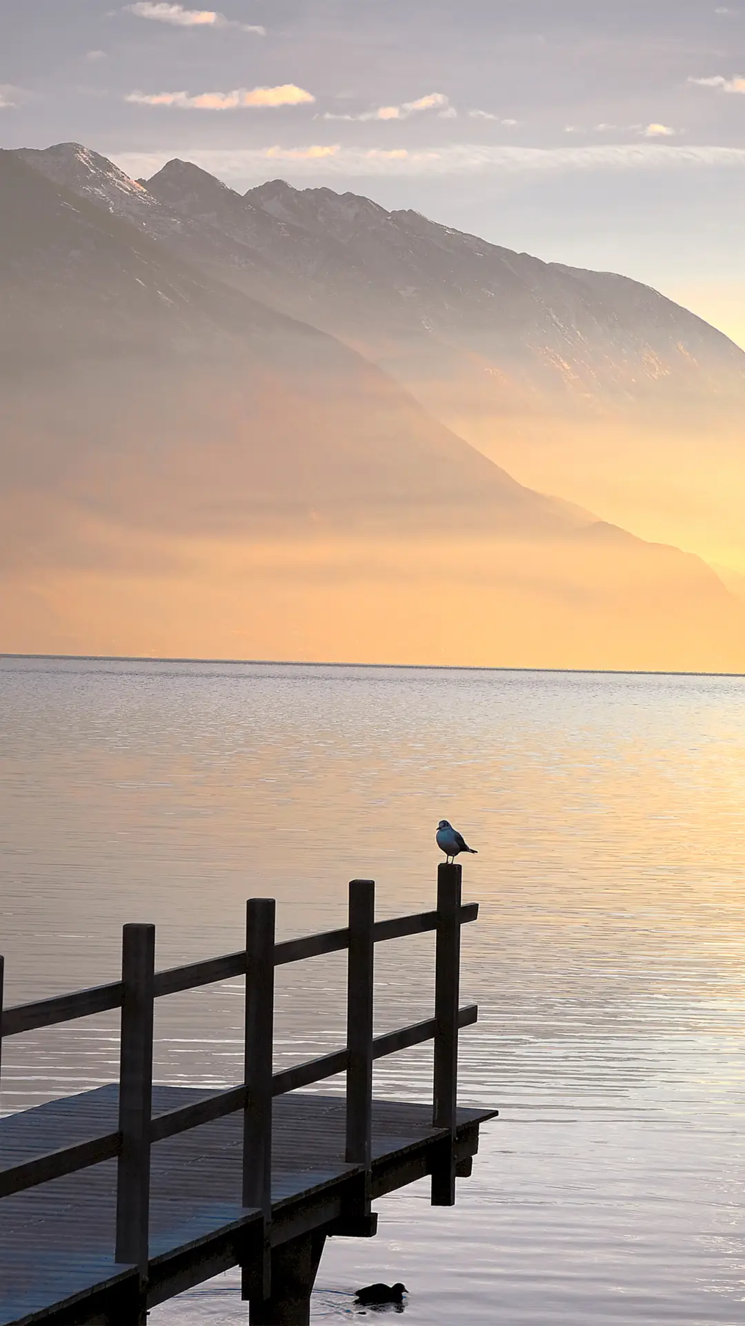 自然的杰作-拍信图库