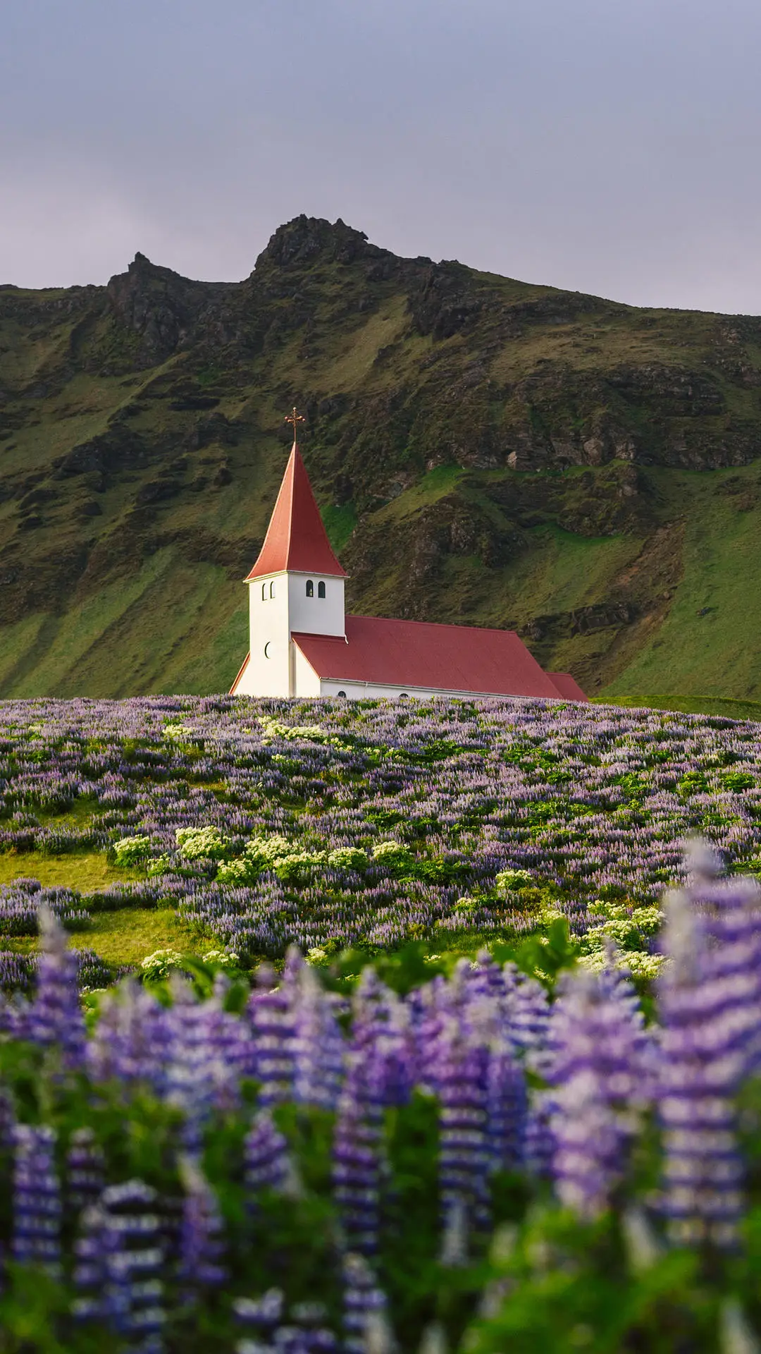 北纬64度的美景