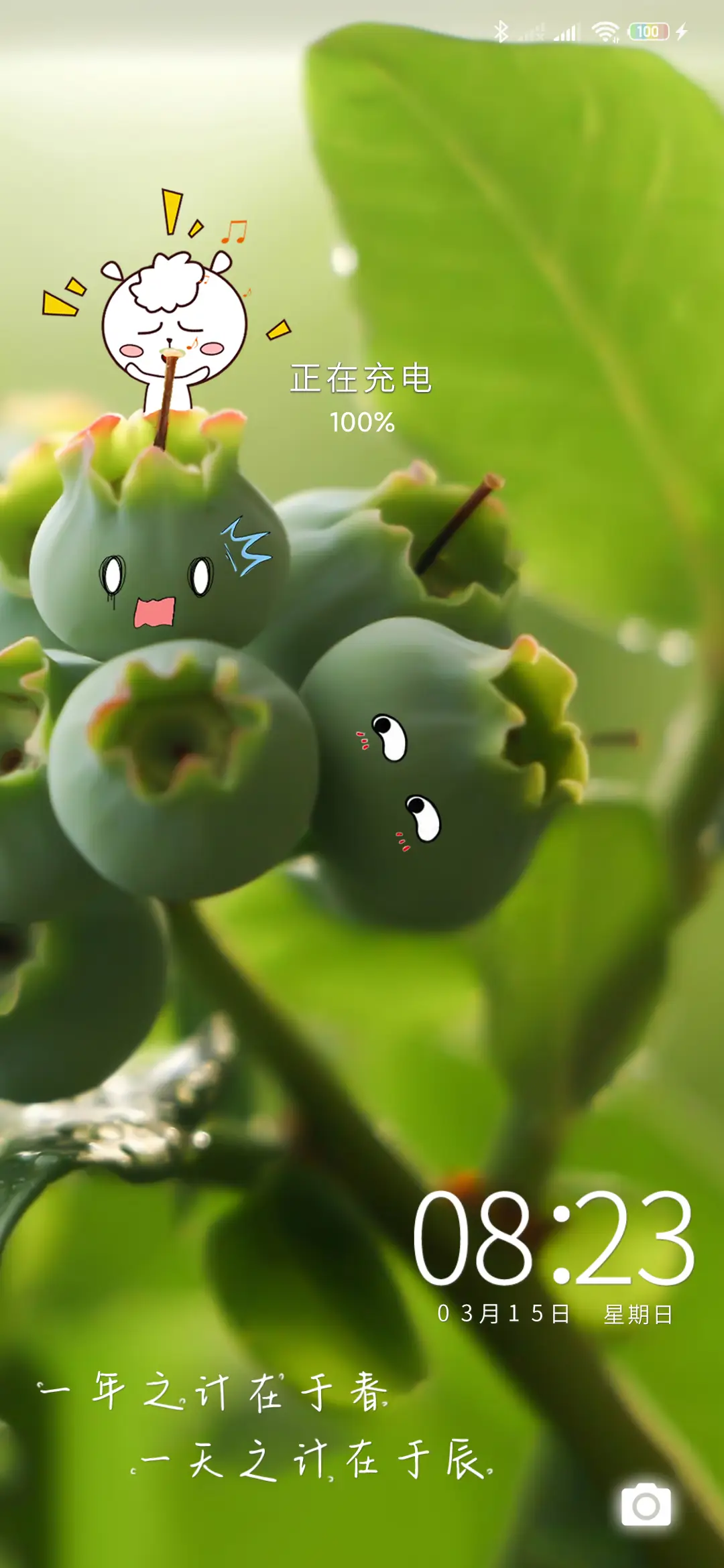 走进自然 清新护眼 - Screenshot 1