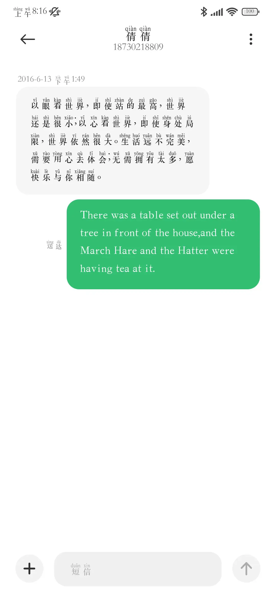 粗黑体拼音 - Screenshot 4