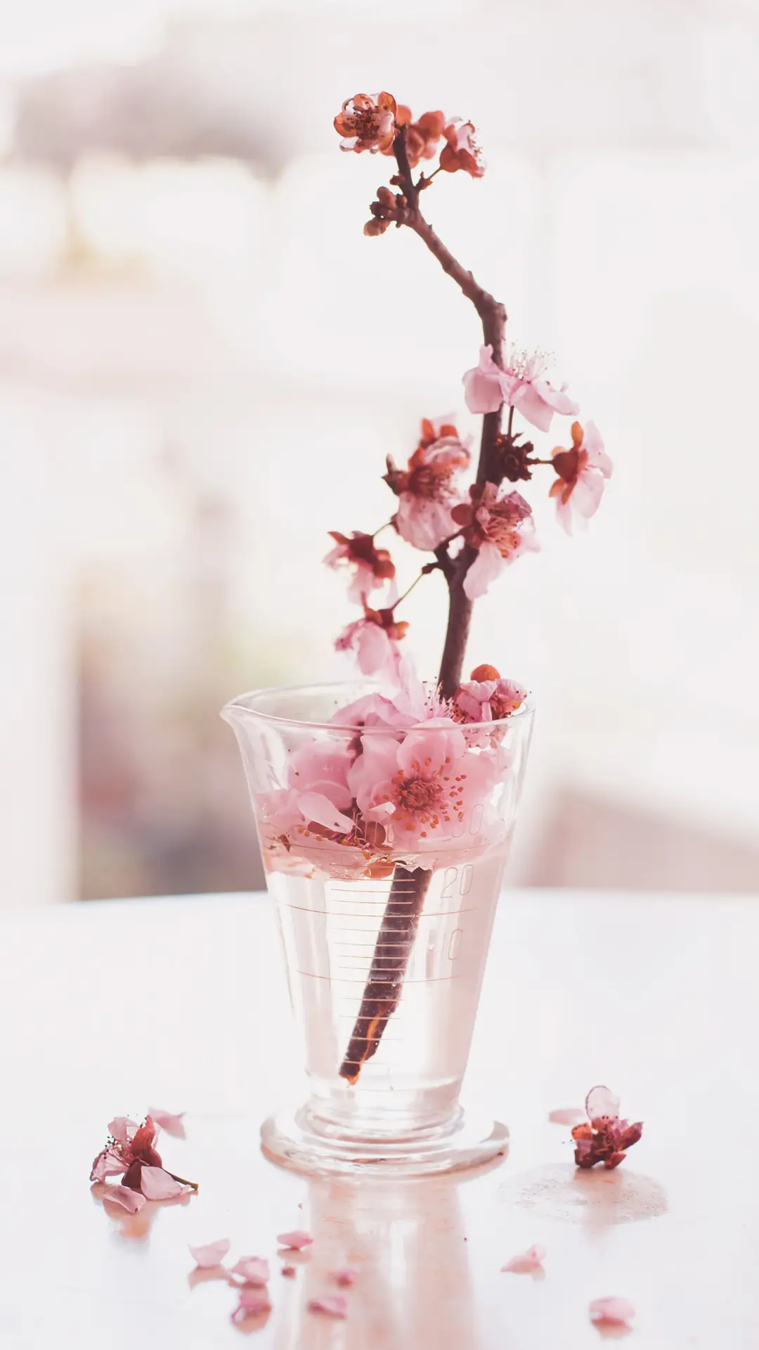 幸福生活如此简单 - Screenshot 1