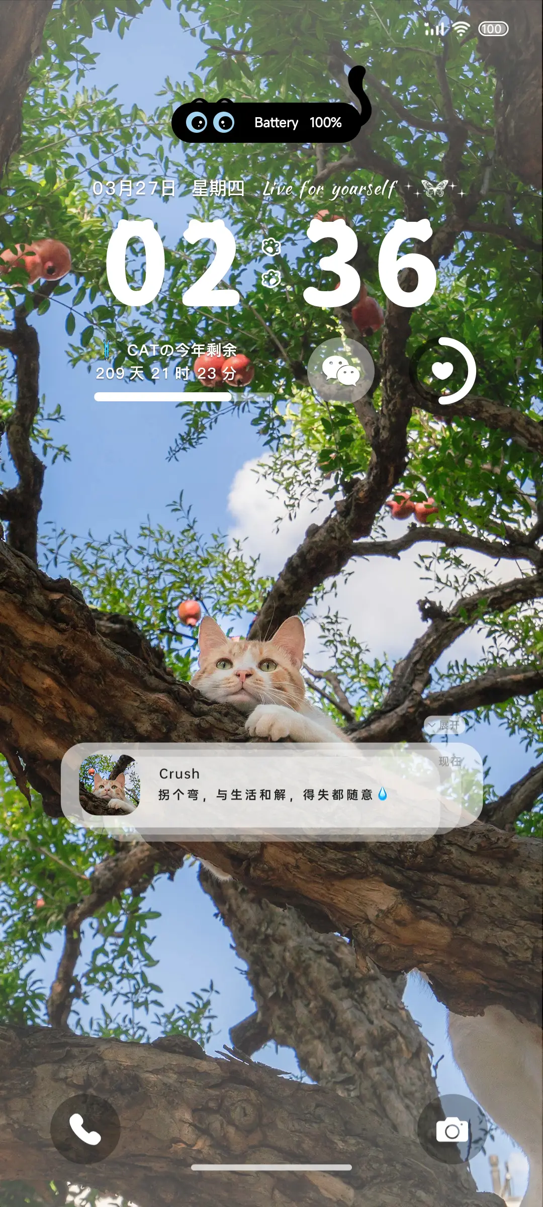 ins 树上的猫 - Screenshot 2