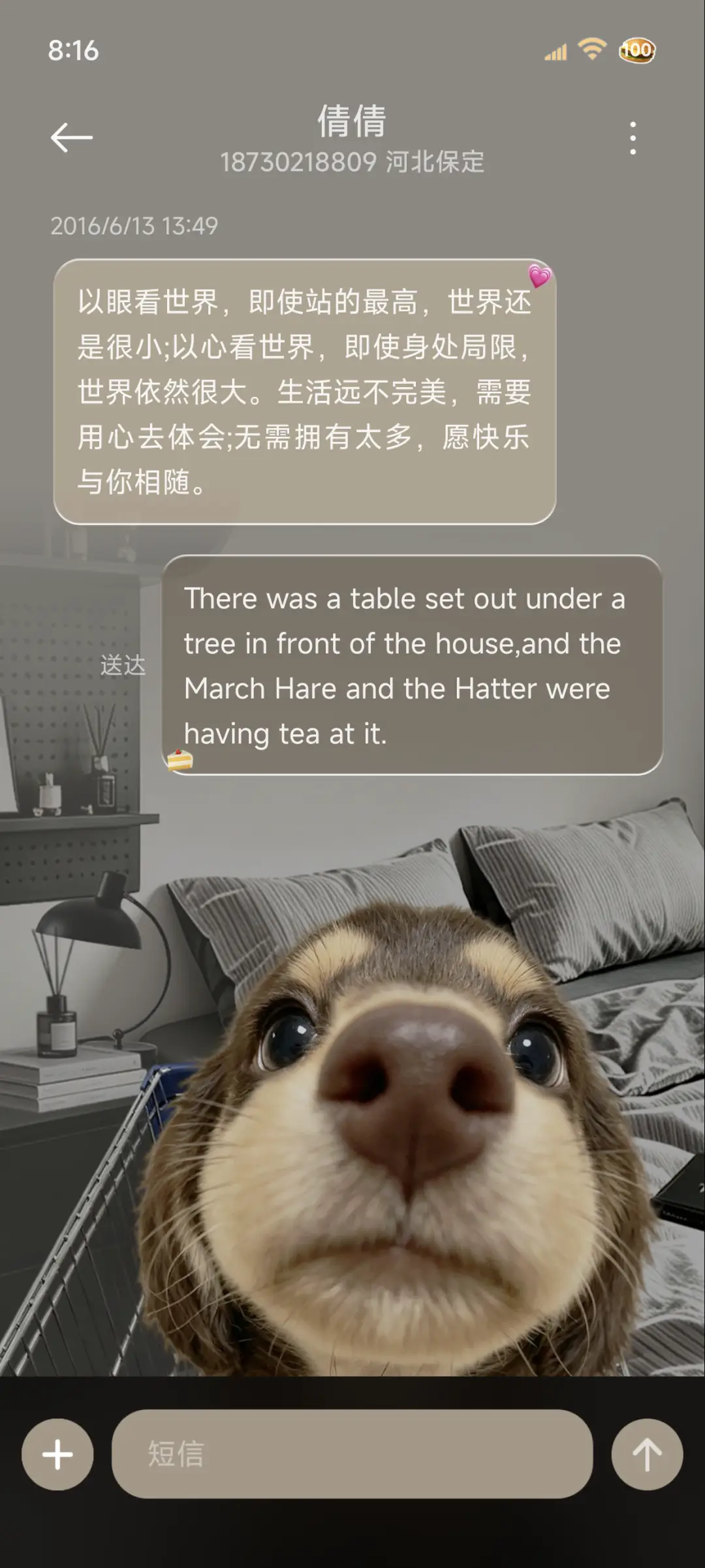 重力鱼眼hello小狗 - Screenshot 8