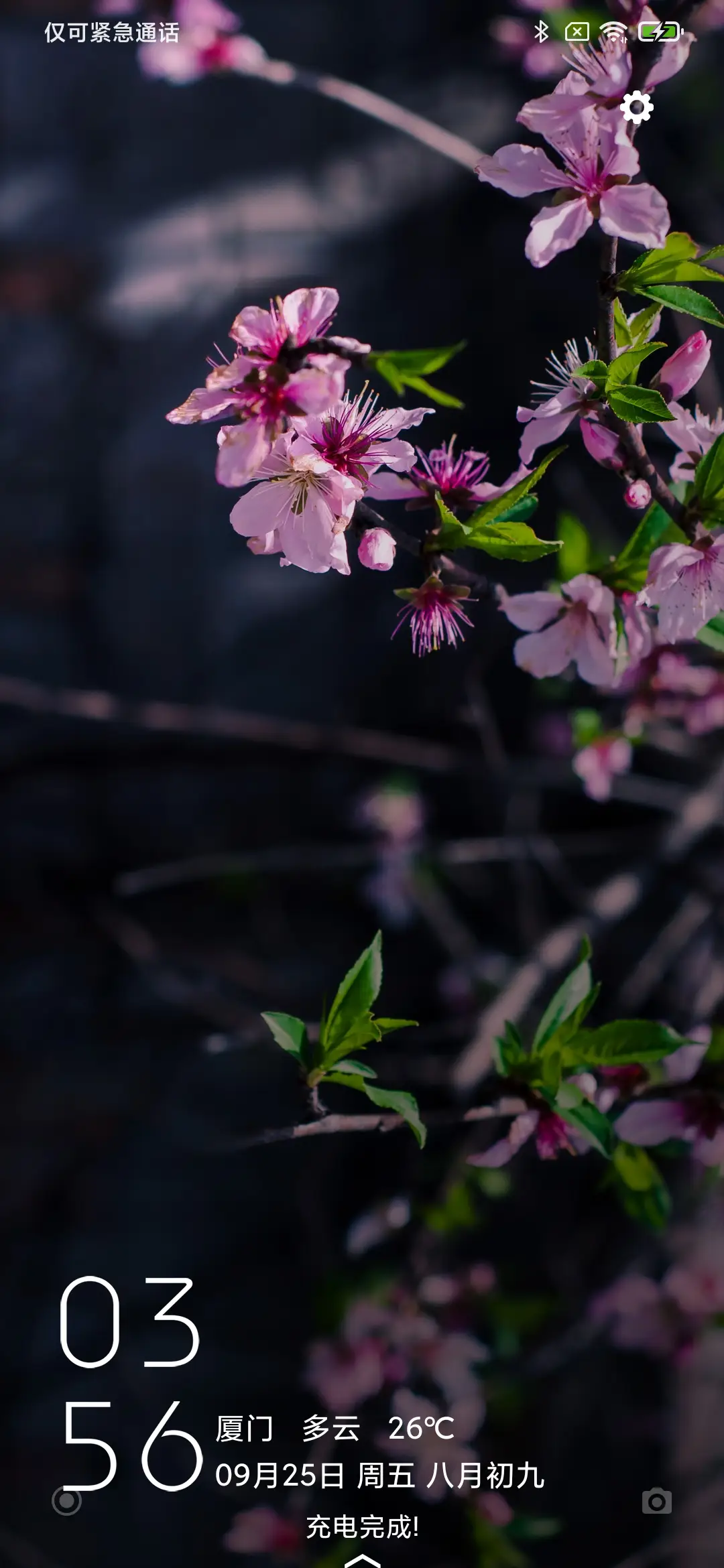 春花 - Screenshot 1