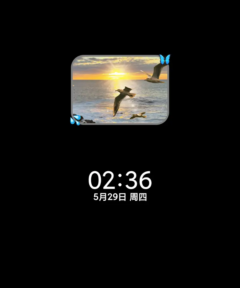 INS风 日出海鸥 THEME for Xiaomi MIUI HyperOS