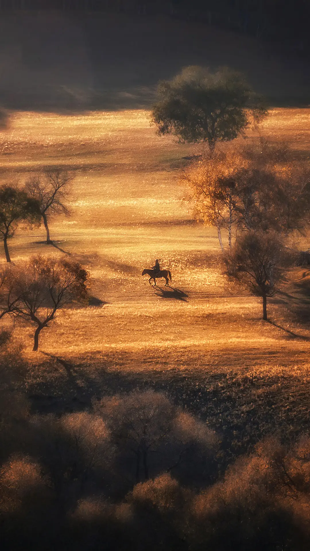 致初为父母的你 - Screenshot 1