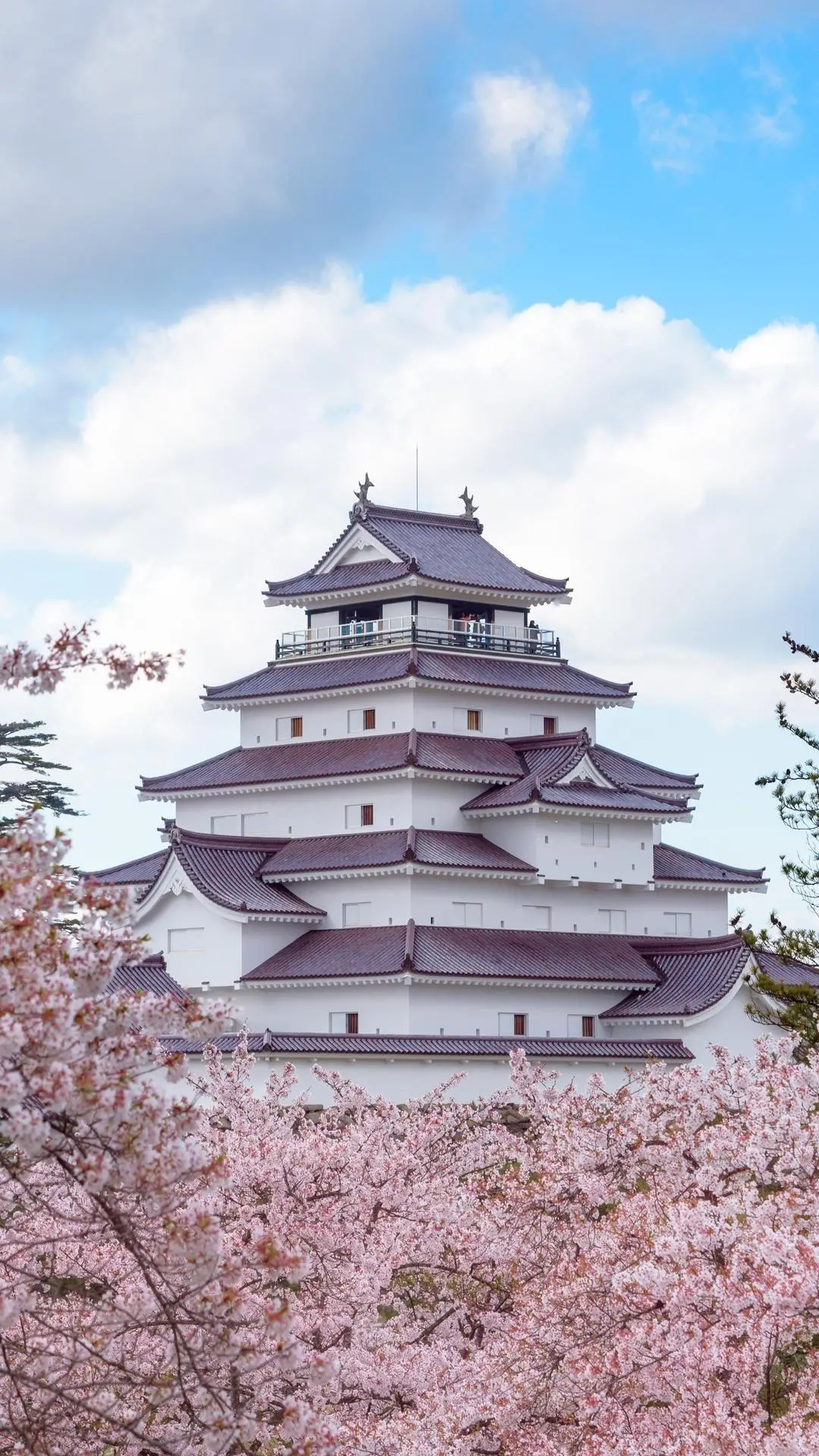 “鹤”与“鹭”之城