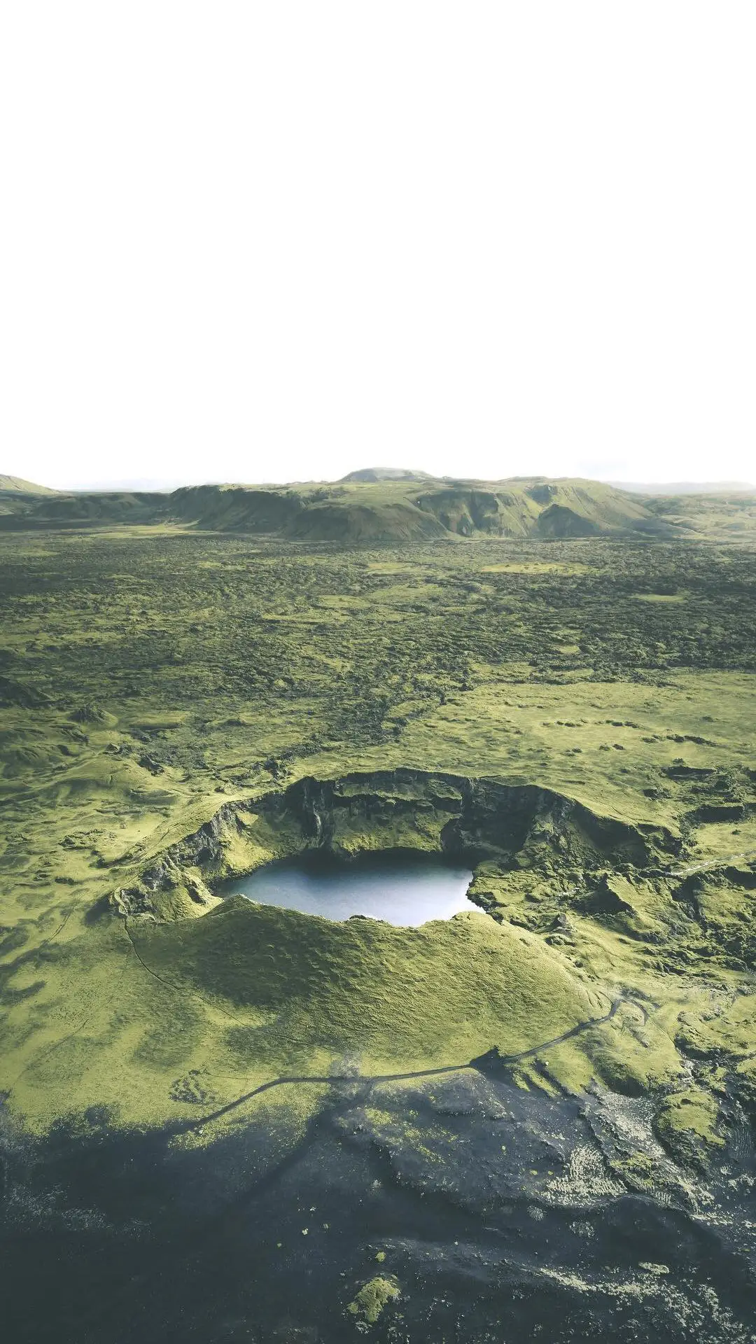 清新绿色草坪自然风光