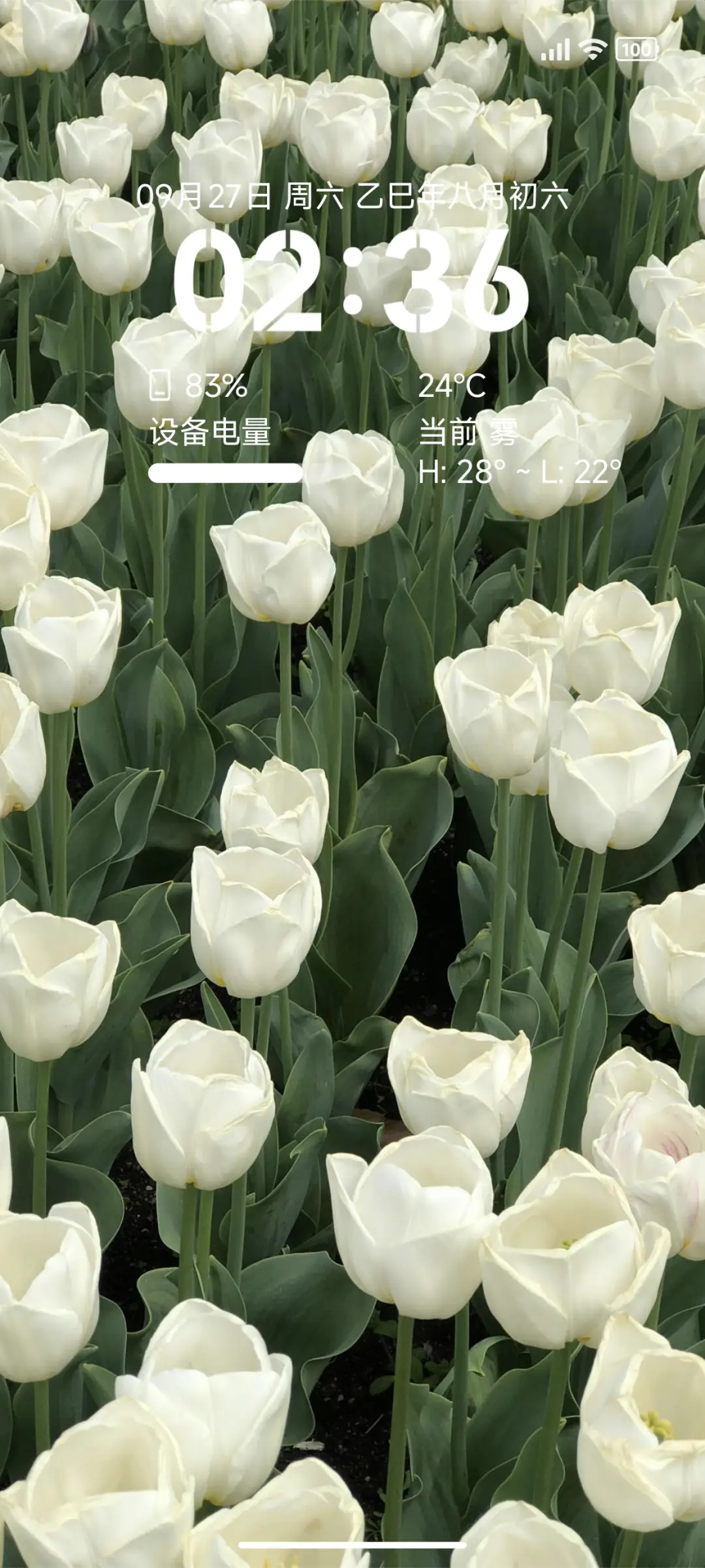 bloom - Screenshot 1