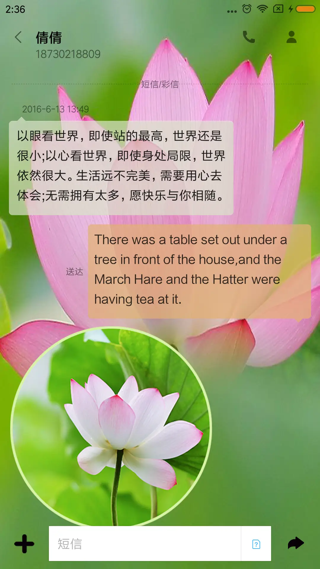 荷花情 - Screenshot 8