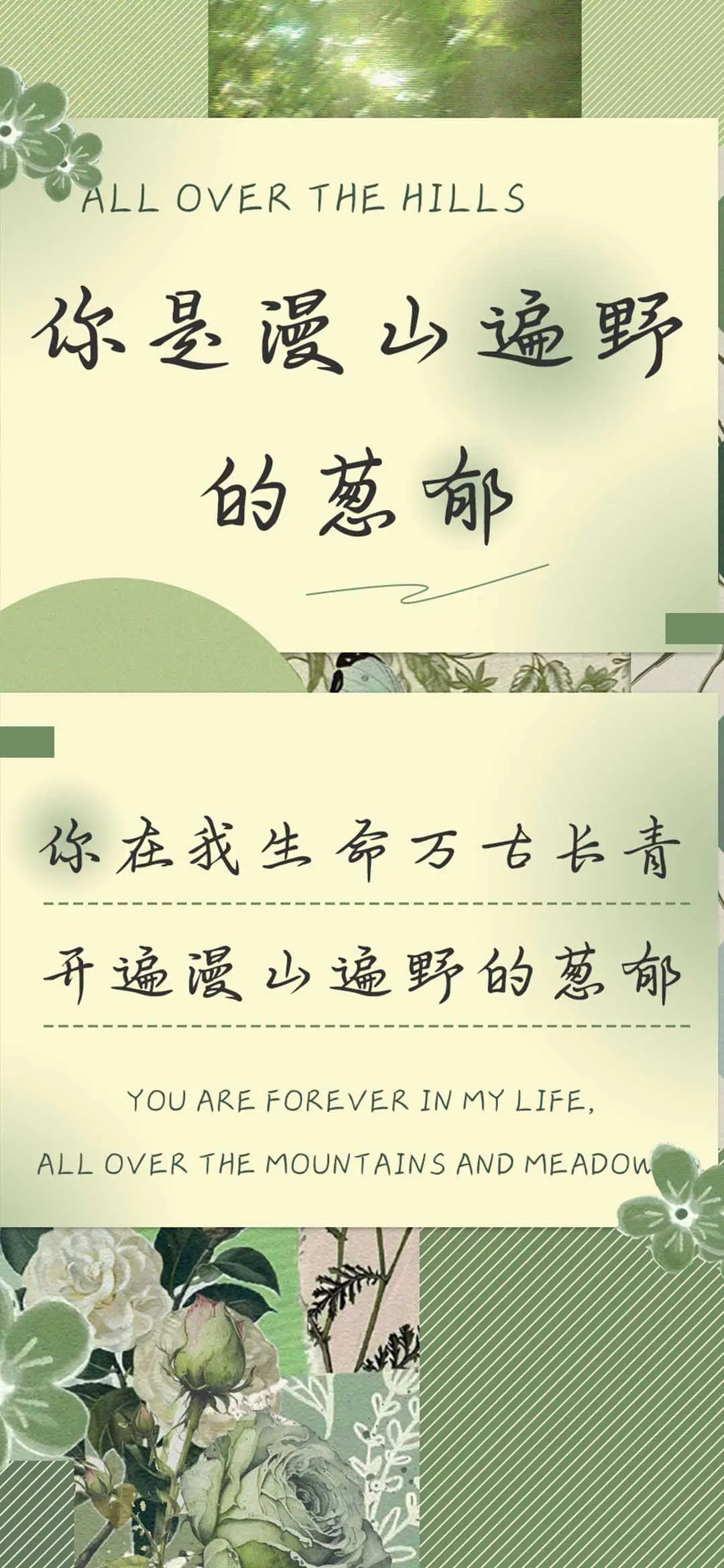 你是漫山遍野的葱郁 - Screenshot 1