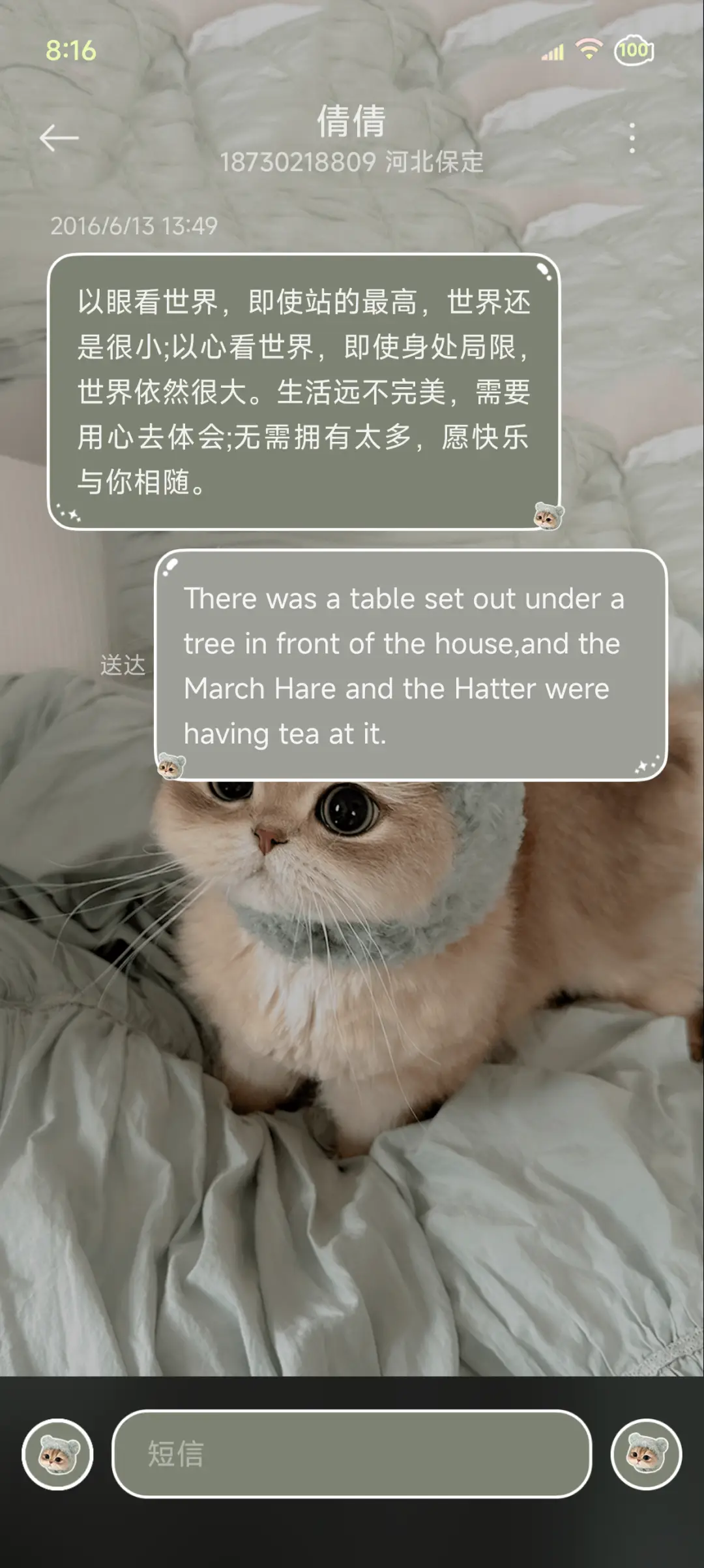 ins涂鸦小猫爱你 - Screenshot 11
