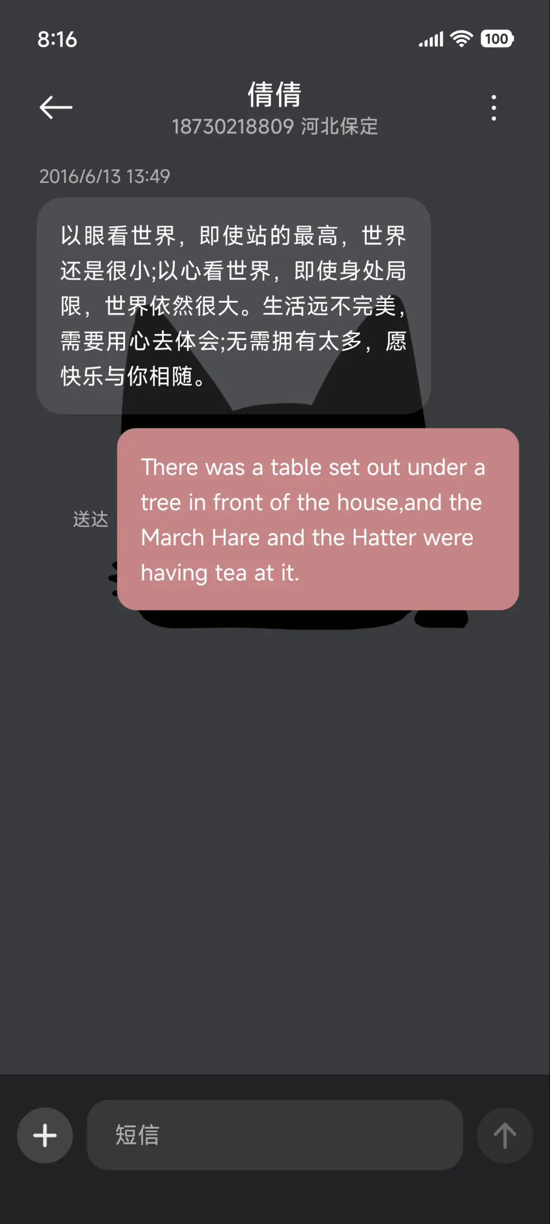 透明可爱小黑猫 - Screenshot 8