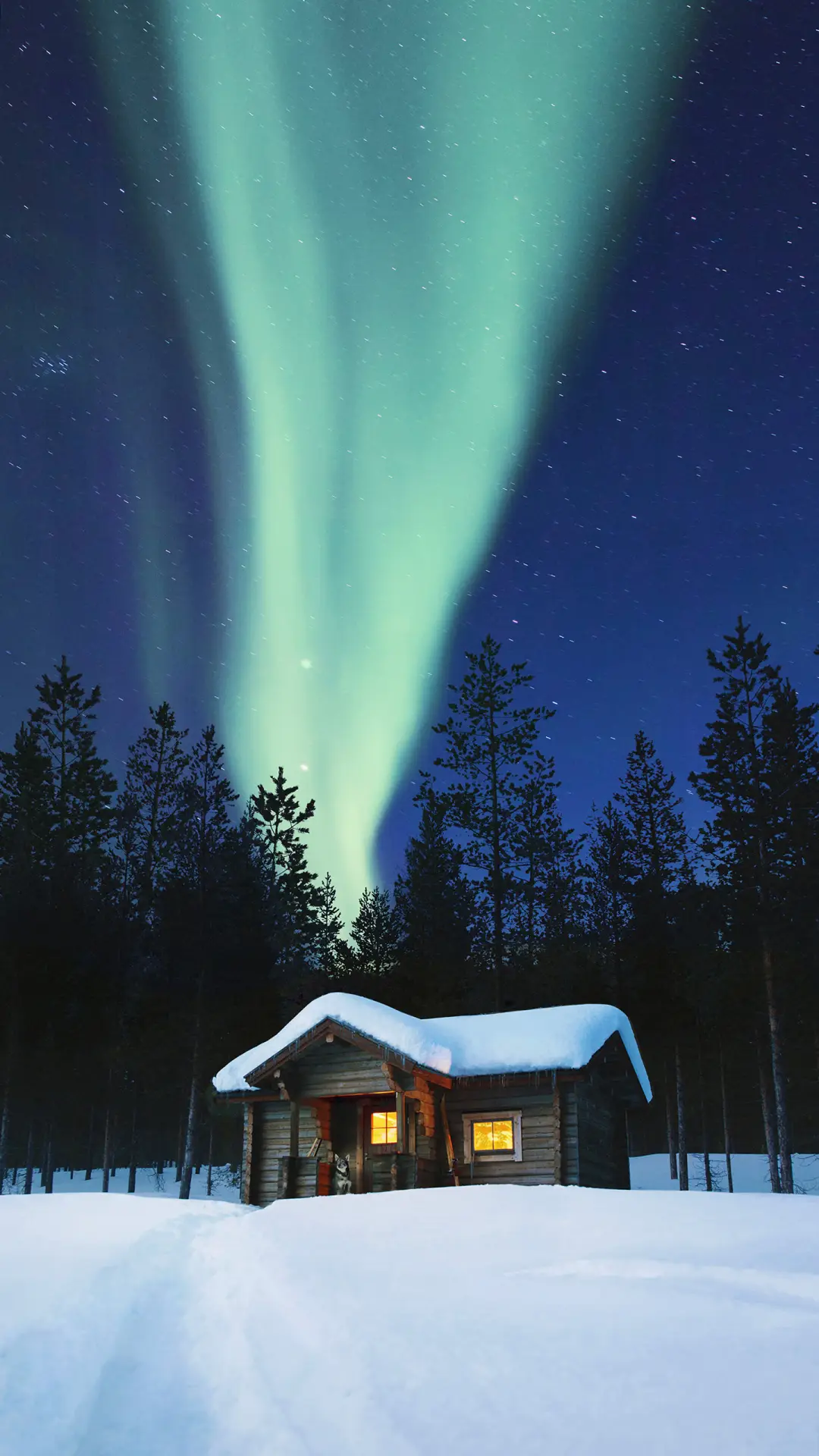 International-Lemmenjoki National Park - Screenshot 1