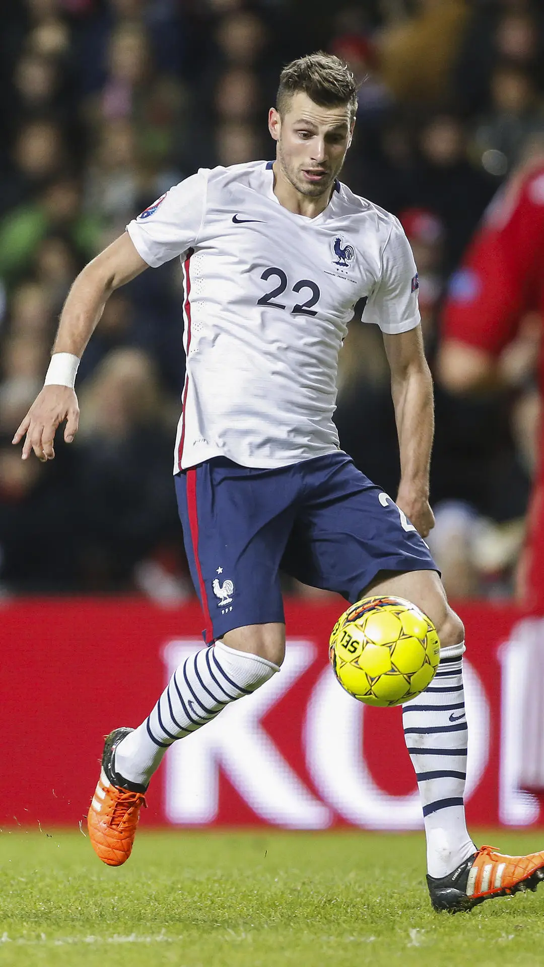 高卢雄鸡施奈德林