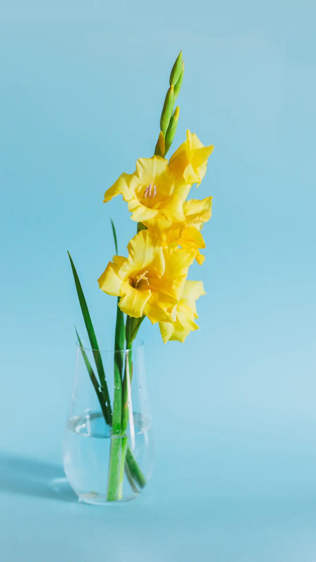 花花世界-拍信图库