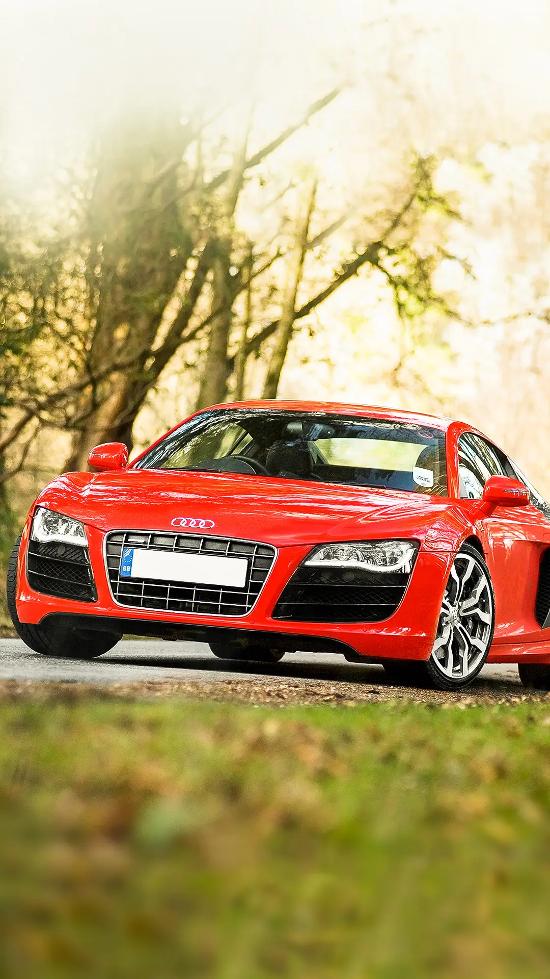 传奇跑车奥迪R8 - Screenshot 1