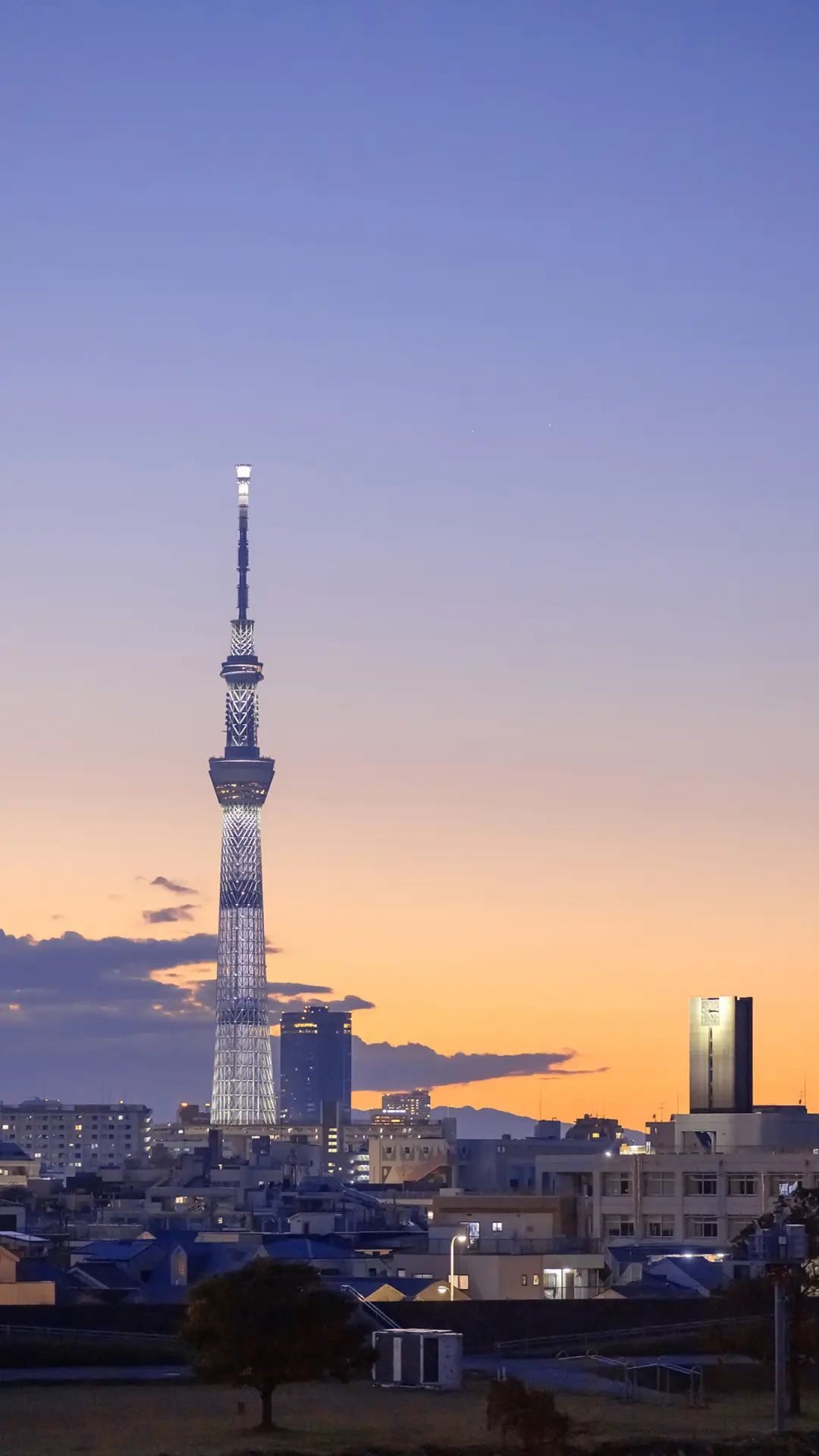 在日本最高建筑上俯瞰东京
