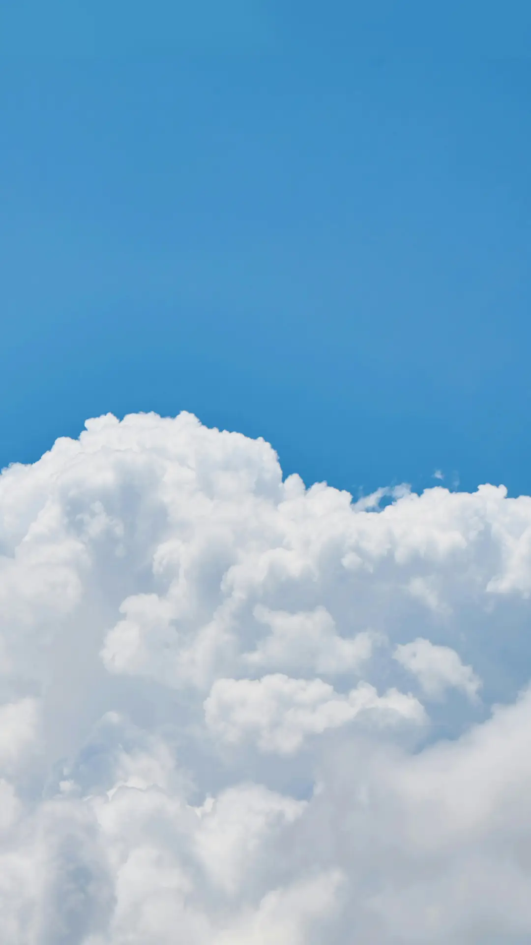 简约风景-顶晟科技