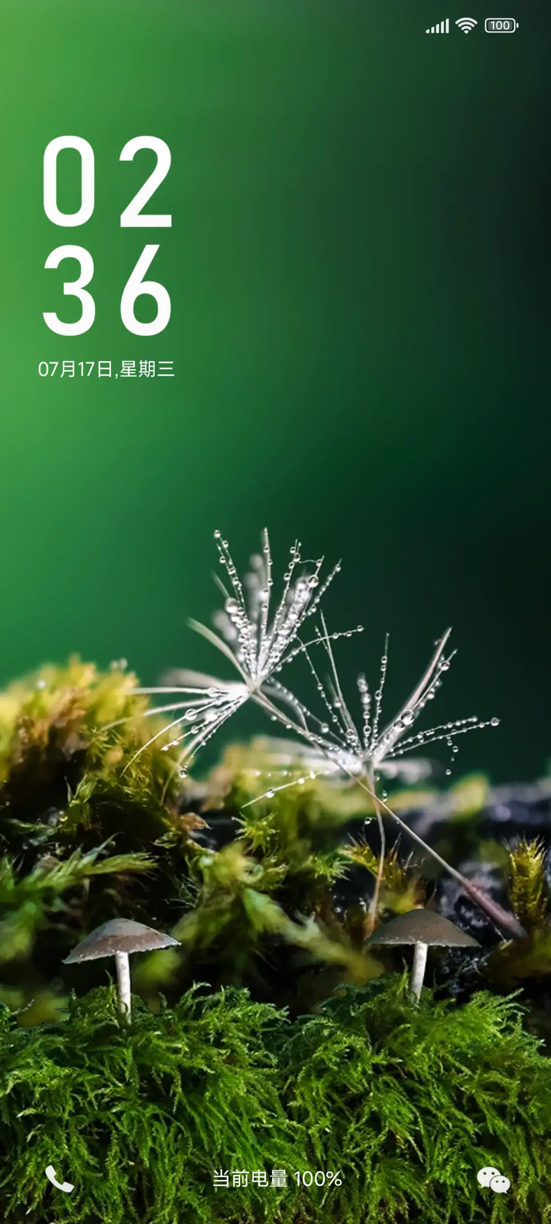 林中小蘑菇 护眼