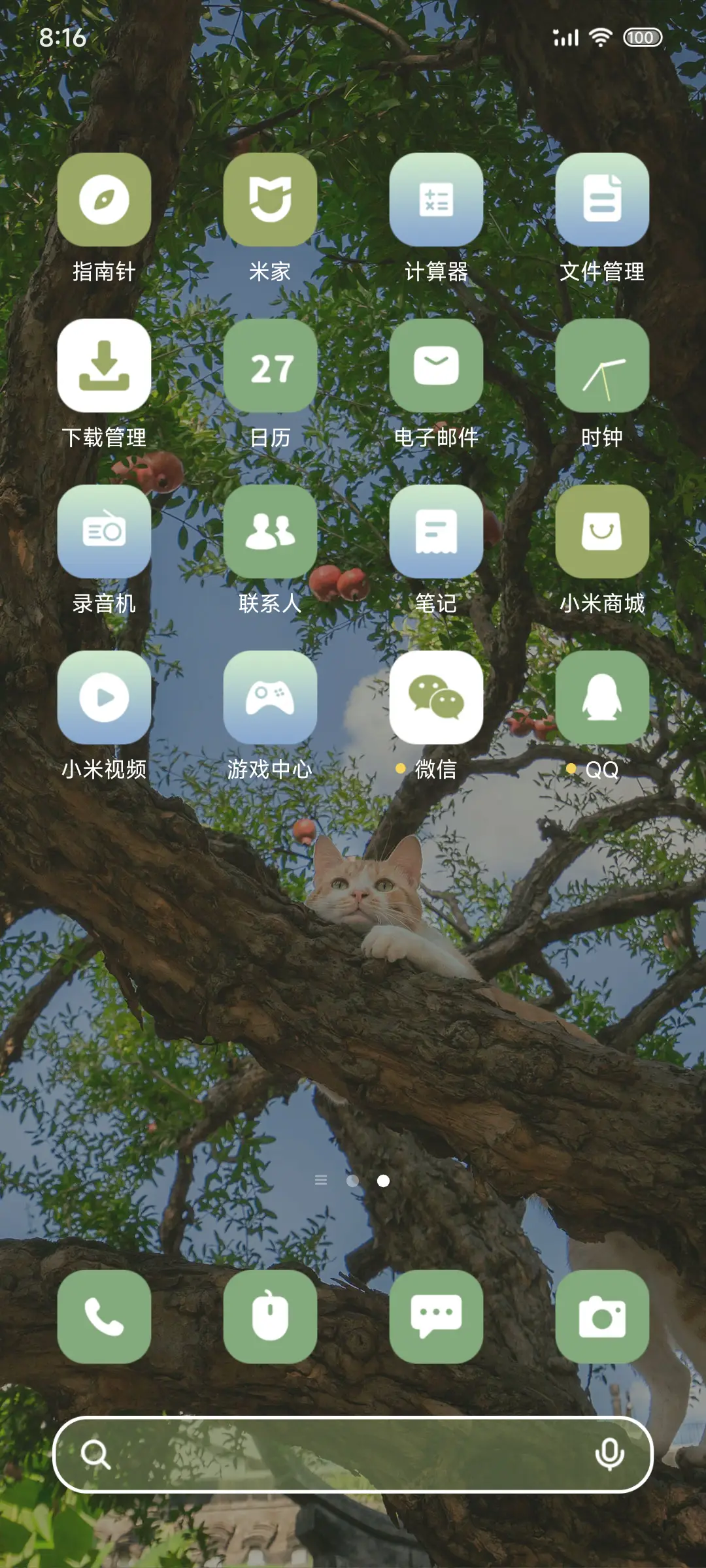 ins 树上的猫 - Screenshot 4