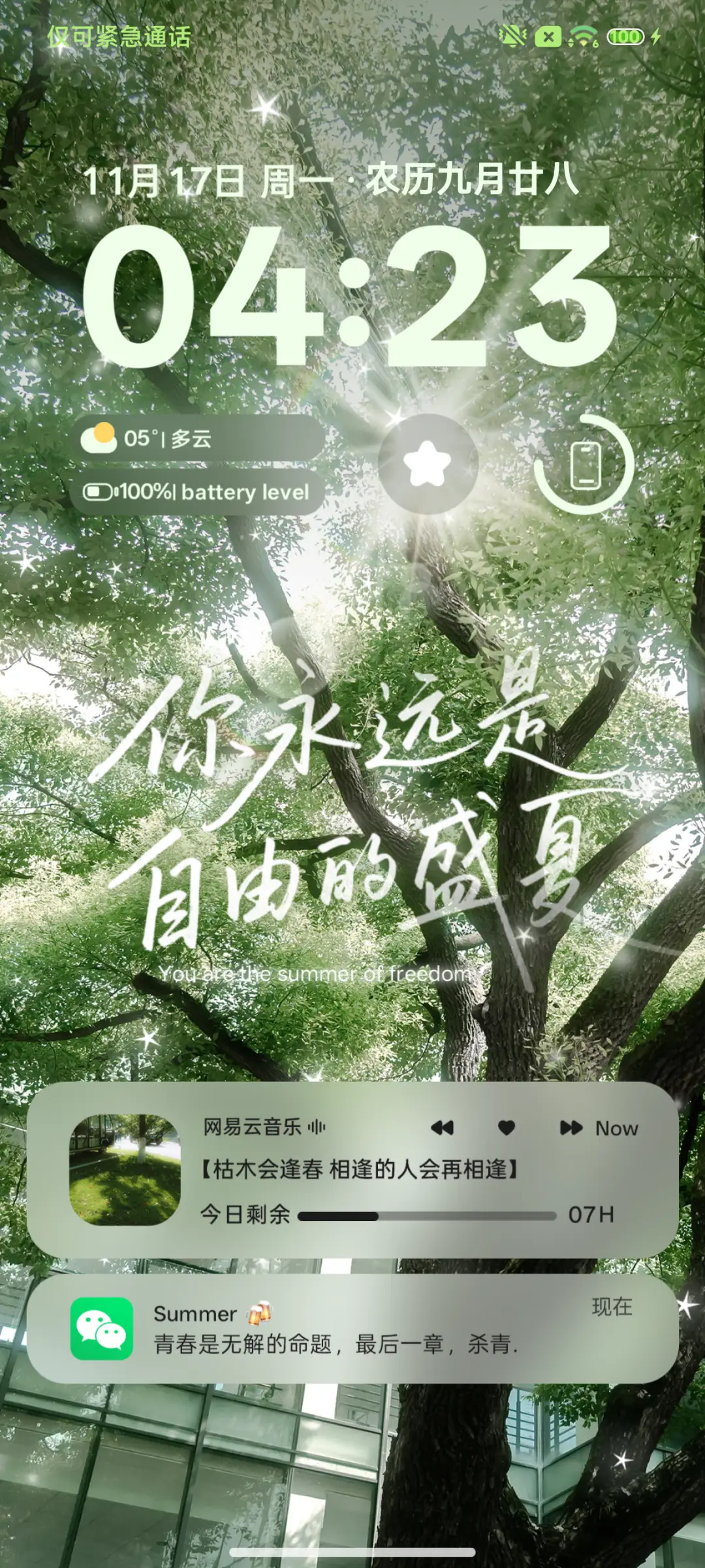 ins夏天以你为名