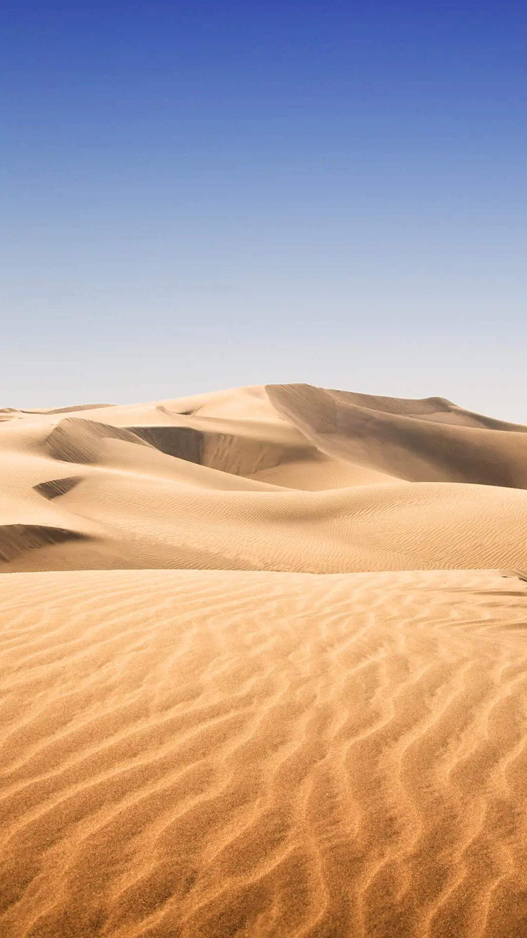 大漠孤烟-拍信图库