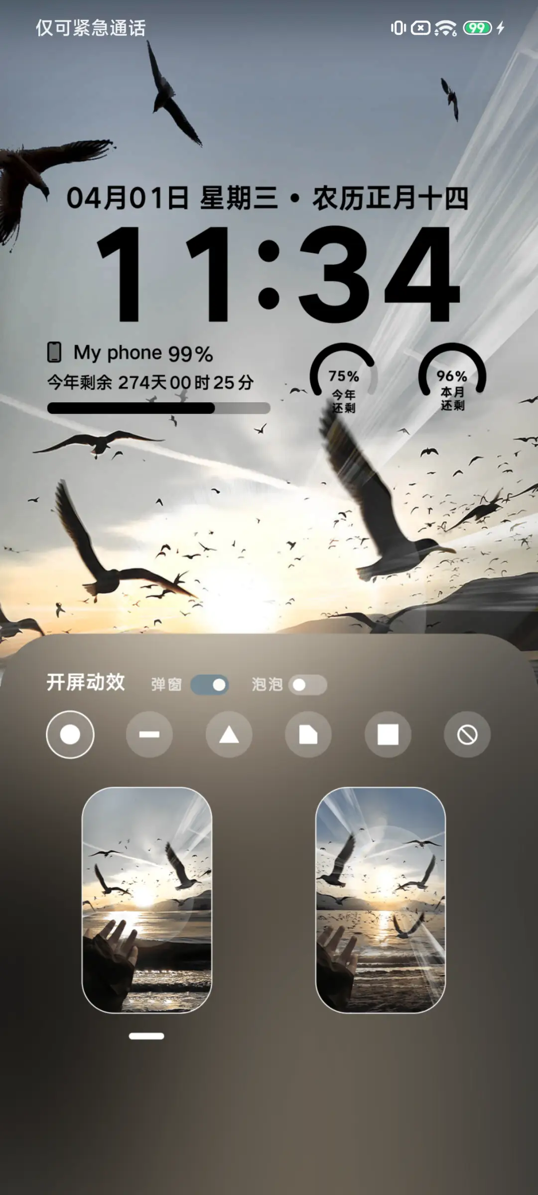 Pro 海鸥与日落 - Screenshot 3